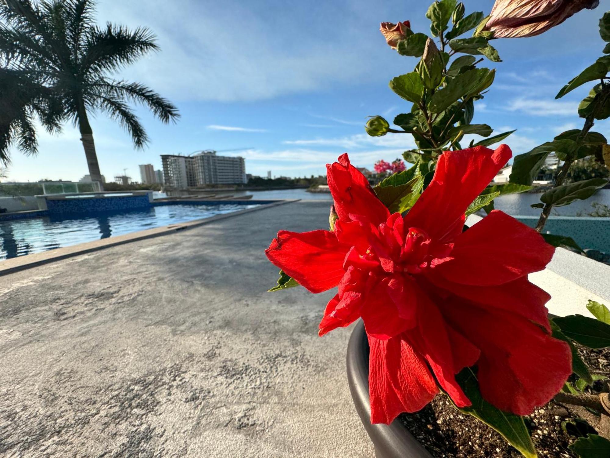 Villa Casa Isla Marina Vista Al Mar 20 Personas Mazatlán Esterno foto